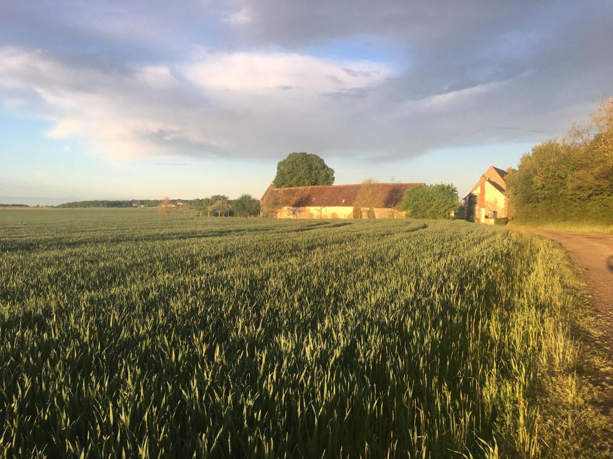 Bed and Breakfast Le Grand Coudreau Nazelles-Negron Exterior foto